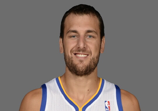 Andrew Bogut