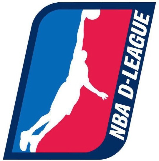NBA Development League